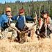Beartooth Plateau Outfitters - guided hunts - Utilizing legendary habitat in the rugged Beartooth Wilderness near Cooke City. Full-service, horseback pack-in elk hunts. Comfortable camps, gentle horses, top guides!