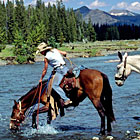ABO Outfitters - Wilderness Pack Trips