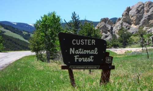 Montana Outdoors