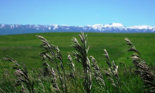 Beartooth Range Montana