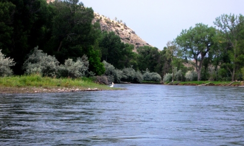 Clarks Fork Yellowstone River
