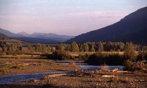 Lamar Valley Yellowstone Park