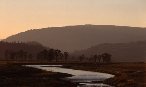 Lamar Valley Yellowstone National Park
