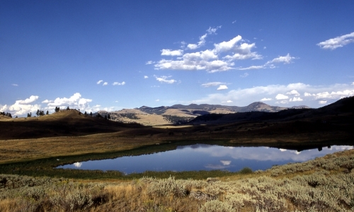 Yellowstone Park Lamar Valley