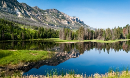 Shoshone National Forest