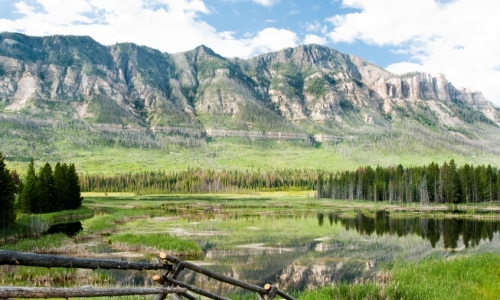 Shoshone National Forest
