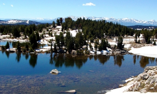 Shoshone National Forest