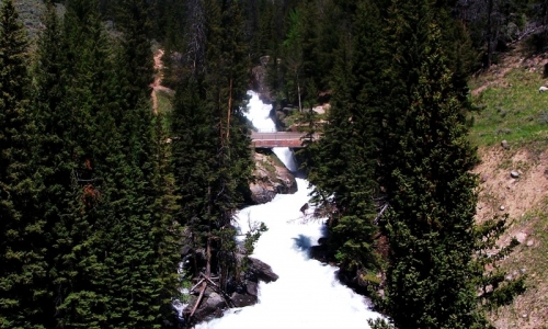 Shoshone National Forest
