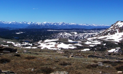 Shoshone National Forest