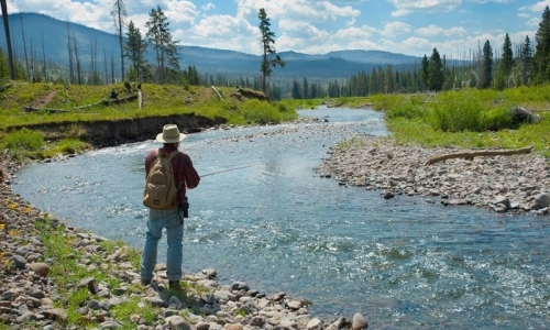Fishing Hellroaring Creek