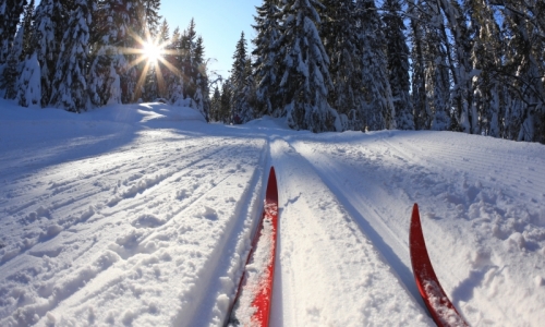 Red Lodge Montana Cross Country Skiing