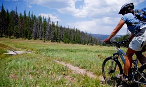 Red Lodge Mountain Biking