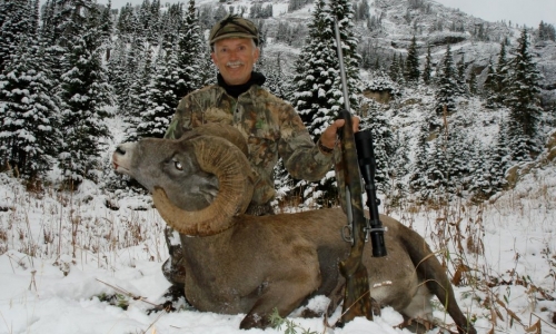 Red Lodge Bighorn Sheep Hunting