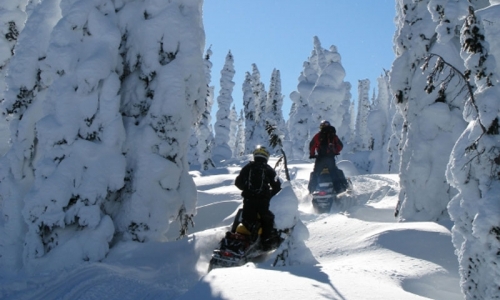 Red Lodge Montana Snowmobiling