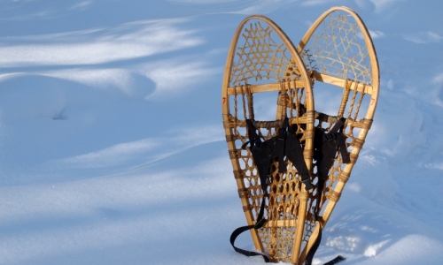 Red Lodge Montana Snowshoeing