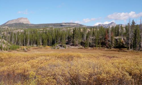 Montana Cooke City