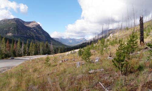 Cooke City
