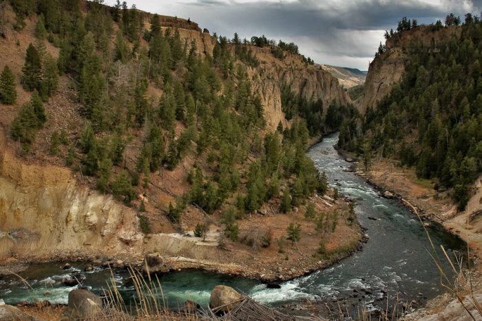 GYFO - Greater Yellowstone Fly Fishers — Bozeman, MT