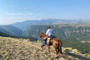 Skyline Guest Ranch And Guide Service