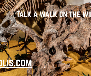 Thermopolis WY | Dinos - Hot Springs - Family Fun