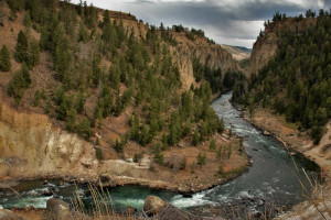 GYFO - All-Inclusive Fly Fishing Packages
