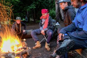 Yellowstone Horse and Mule - guided pack trips