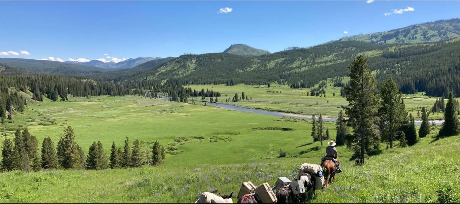 Yellowstone Horse and Mule — Absarokee, MT