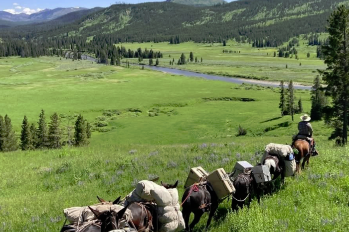 Yellowstone Horse and Mule — Absarokee, MT