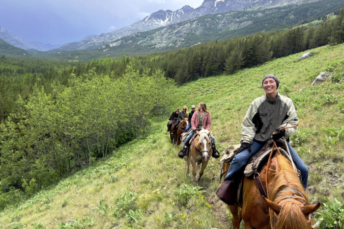 Yellowstone Horse and Mule — Absarokee, MT