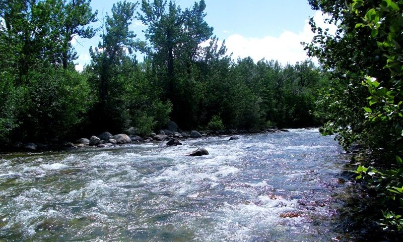 Rock Creek near Red Lodge