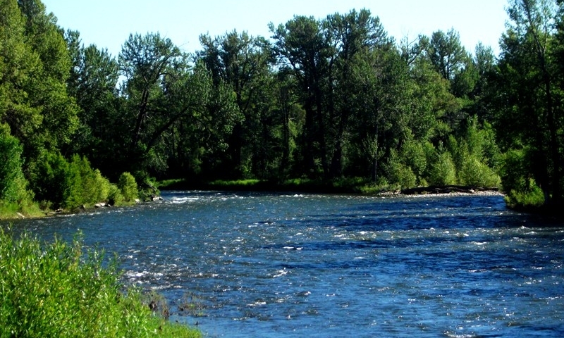 Lower Stillwater River