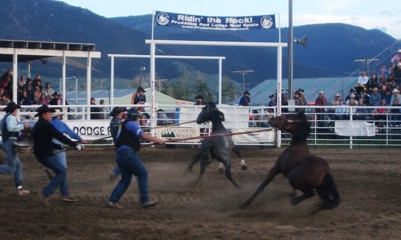 Home of the Champs Rodeo