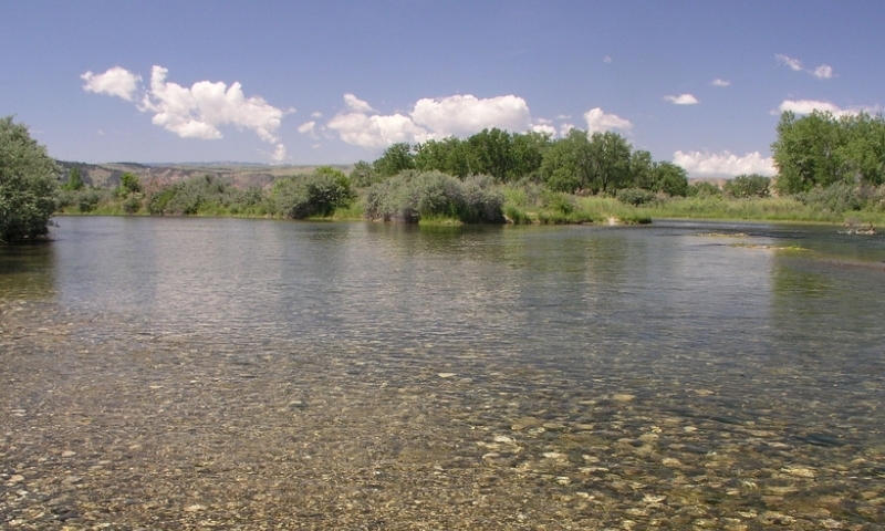 Bighorn River Fishing Montana