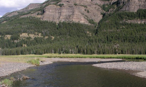 Soda Butte Creek