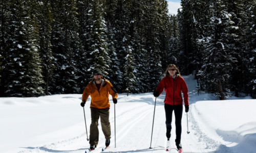 Cross Country Skiing