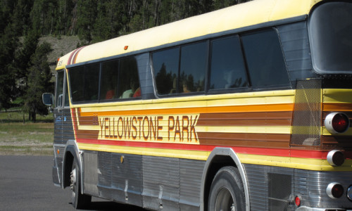 Guided Tours