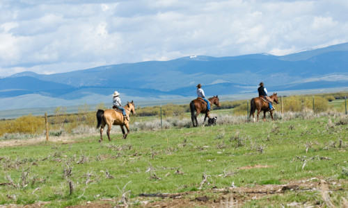 Horse Pack Trips